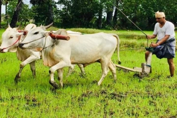 மாபெரும்  போராட்டத்திற்கு அழைப்பு விடுத்த சுமந்திரன்!