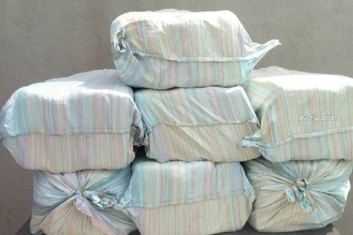 யாழில் பெருந்தொகையான கஞ்சாவுடன் படகொன்று மீட்பு | Cannabis Has Been Seized Navy In Jaffna யாழில் பெருந்தொகையான கஞ்சாவுடன் படகொன்று மீட்பு | Cannabis Has Been Seized Navy In Jaffna