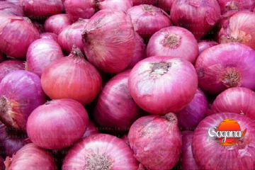 මුල් මාස අටට ළූණු ටොන් 217883ක් ගෙනල්ලා