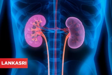 சிறுநீரக செயலிழப்பு ஏன் ஏற்படுகிறது தெரியுமா? இனி உஷாரா இருங்க