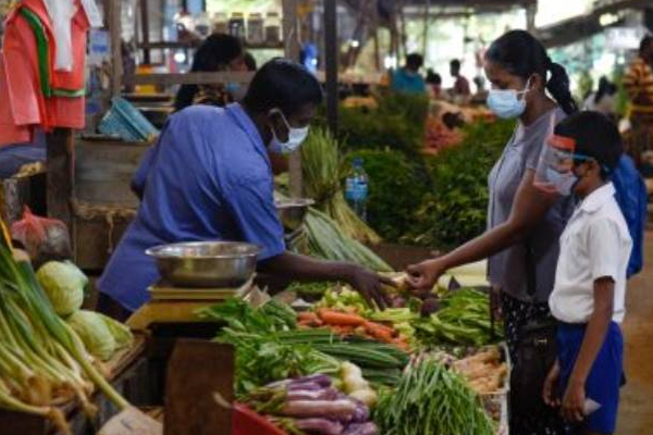 இலங்கையில் விரைவில் இதற்கு பாரிய தட்டுப்பாடு ஏற்படும் அபாயம்! | Srilanka Next Three Month Vegetable Shortage Occur