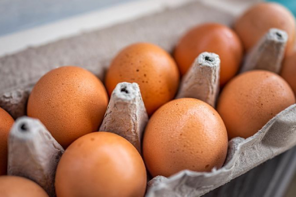 முட்டை விலை குறைப்பு சாத்தியேமே இல்லை! வெடித்தது சர்ச்சை | Reduction In Egg Prices New Issue