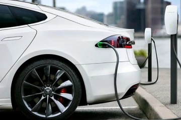 வெளிநாடுகளில் உள்ள இலங்கையருக்கு மின்சார வாகன இறக்குமதி உரிமம்: அறிமுகமாகும் புதிய திட்டம்