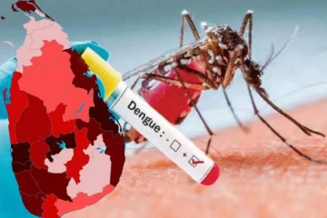 இலங்கையில் வேகமெடுக்கும் டெங்கு நோய்த் தாக்கம் : பொதுமக்களுக்கு விடுக்கப்பட்டுள்ள எச்சரிக்கை