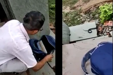 பையிலிருந்து வந்த வித்தியாசமான சத்தம்... - திறந்து பார்த்தபோது ஆசிரியருக்கு காத்திருந்த அதிர்ச்சி - வைரலாகும் வீடியோ