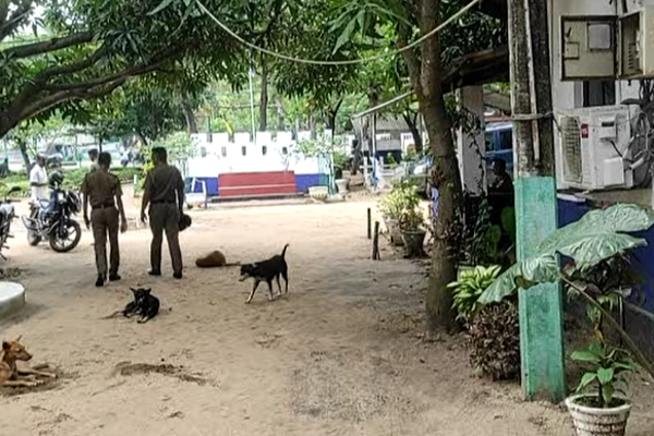 நாடளாவிய ரீதியில் இடம்பெற்ற கைது நடவடிக்கைகள் | Nationwide Arrests