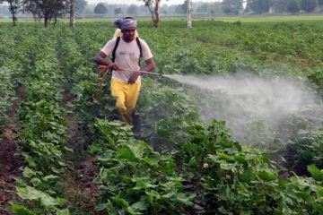 பூச்சிக் கொல்லி மருந்துகளுக்கு நிரந்தர தடை - தமிழ்நாடு அரசு அதிரடி..!