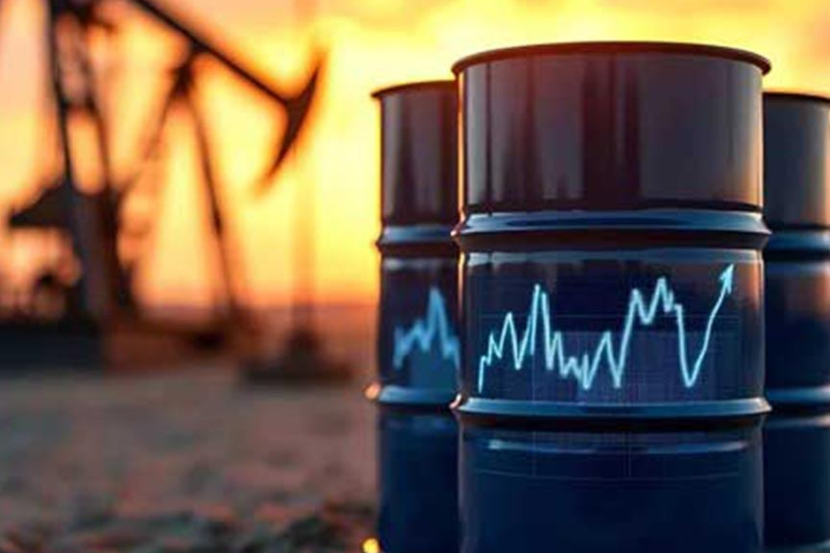 குறைவடைந்த கச்சா எண்ணெய் விலை | Crude Oil Price Falling Fuel Price