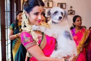 இனி புதுபடம் வேண்டாம்! 38 வயசில் விரைவில் திருமணம் செய்கிறாரா நடிகை திரிஷா?