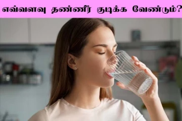 Summer Tips: கோடை காலத்தில் எவ்வளவு தண்ணீர் குடிக்க வேண்டும்?