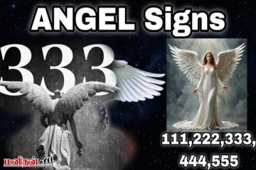 Angel Numbers: இதற்கான அர்த்தம் என்ன தெரியுமா? உங்கள் கண்களுக்கு தெரிவது ஏன்?