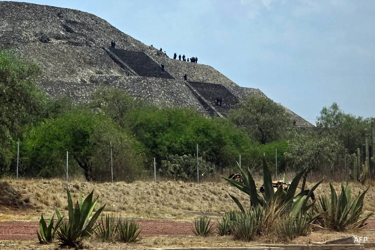 உலகப் புகழ்பெற்ற சுற்றுலாத் தலத்தில் துப்பாக்கிச் சூடு: பெண் ஒருவர் படுகொலை | Mexico Pyramids Gunfire Tourist