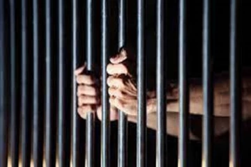 நியூசிலாந்து செல்ல முற்பட்ட மூவருக்கு பிணை - 64 பேருக்கு விளக்கமறியல்