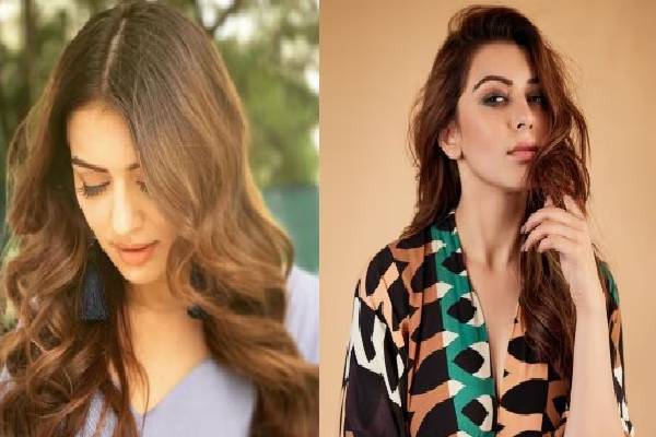 விவாகரத்தை உறுதி செய்த ஹன்சிகா? வைரலாகும் புதிய பதிவு | Hansika New Post About Divorce On Birthday Viral