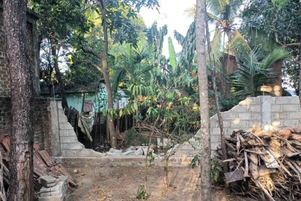 கிராமத்திற்குள் புகுந்து காட்டு யானை அட்டகாசம்: அம்பாறையில் சம்பவம்! | Elephant Rushes Into Village Incident In Ampara