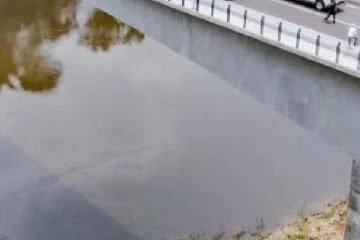 பாலத்தின் மீதிருந்து ஆற்றில் குதித்த இளம் ஜோடி