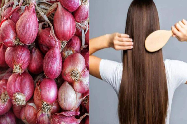 பல நோய்களுக்கு அருமருந்தாகும் சின்ன வெங்காயம் ; கண்டிப்பா தெரிஞ்சுக்கோங்க | Shallots Are A Powerful Remedy For Many Illnesses