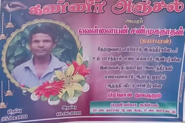 மாங்காய் பறிக்க ஏறியவர் மரத்திலிருந்து விழுந்து உயிரிழந்த சோகம்