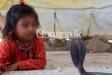 නාගයකු ලවා තම බිරිද සහ දියණිය මරා දැමූ පියා - වාර්තා වන ඇග හිරි වැටෙන පුවත..