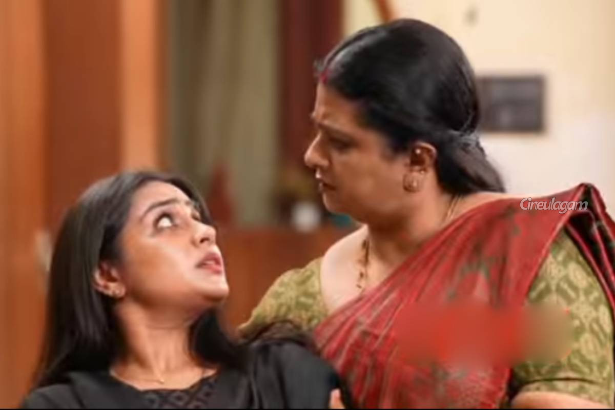 ஆபத்தில் சிக்கப்போன ரோஹினி, கைகொடுத்து காப்பாற்றிய விஜயா... சிறகடிக்க ஆசை சீரியல் எபிசோட் | Siragadikka Aasai Serial Oct 03 Episode