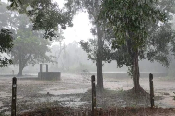 முல்லைத்தீவில் இன்றும் மின்னல் தாக்குதல் -இளம் குடும்பஸ்தர் படுகாயம்
