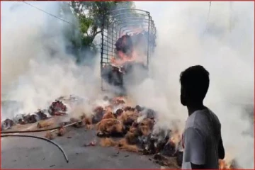 மின்சார கம்பியில் சிக்கி பற்றியெரிந்த பாரவூர்தி