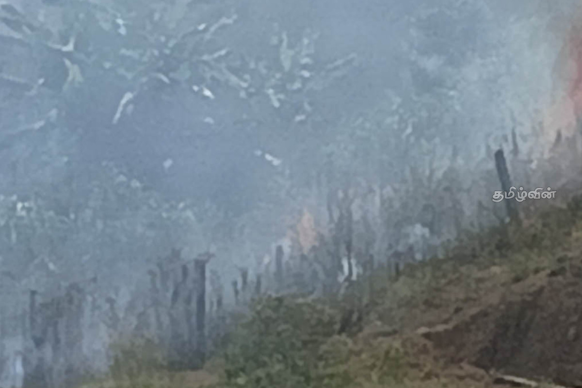 ஹட்டன் பகுதியில் தொடரும் காடுகளுக்கு தீ வைப்பு சம்பவங்கள்! மக்கள் அதிருப்தி | Forest Arson Incidents Continue In Hatton Area