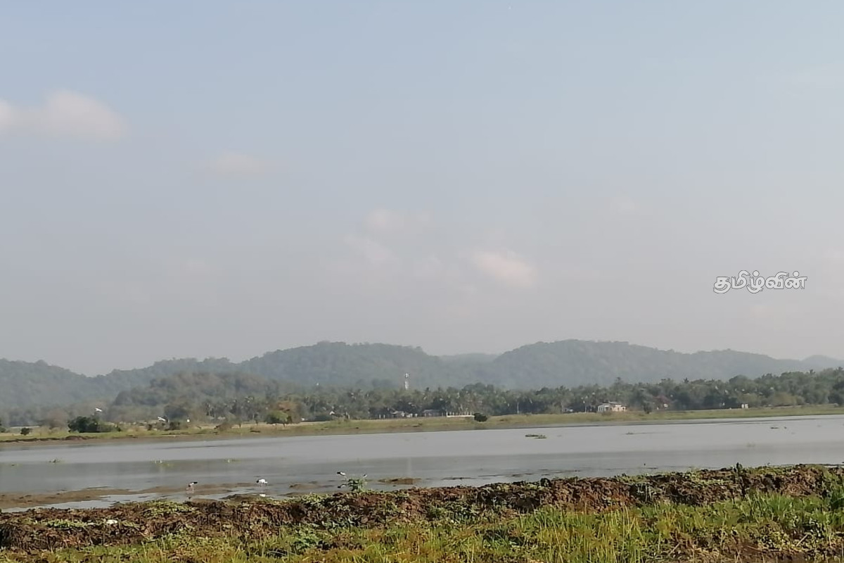 அதிகரிக்கும் வெப்பம்!குறைவடையும் குளங்களின் நீர்மட்டம் | Water Levels In Ponds Are Decreasing Heat அதிகரிக்கும் வெப்பம்!குறைவடையும் குளங்களின் நீர்மட்டம் | Water Levels In Ponds Are Decreasing Heat