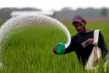 හරියටම යූරියා ලැබෙන දිනය මෙන්න..