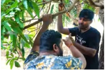 4 பேரை காதலித்த தமிழர்... இறுதியில் என்ன நடந்தது தெரியுமா?