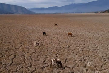 தென் அமெரிக்காவின் பல பகுதிகளில் கடும் வறட்சி