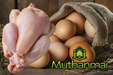 முட்டை - கோழி இறைச்சியின் விலை தொடர்பாக வெளியான மகிழ்ச்சி தகவல்