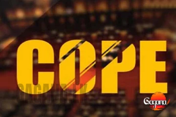 රටට අහිමි වූ තවත් කෝටි ගානක් ගැන කෝප් කමිටුවේ දී හෙළි වේ - මෙන්න විස්තරය