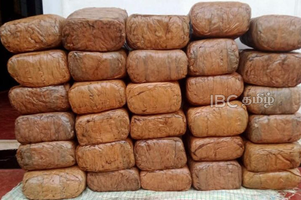 யாழில் பெருந்தொகையான கேரள கஞ்சா மீட்பு! | Large Quantity Of Kerala Cannabis Seized In Jaffna