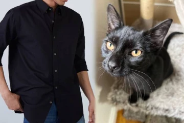 கருப்பு நிறம் என்றால் கெட்டது என்று சொல்வது ஏன்? ஜோதிடம் கூறும் உண்மை