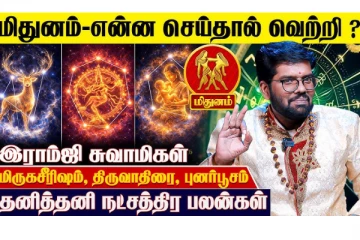 2026 ஆம் ஆண்டு வெற்றிகள் குவிய மிதுன ராசியினர் செய்யவேண்டியவை