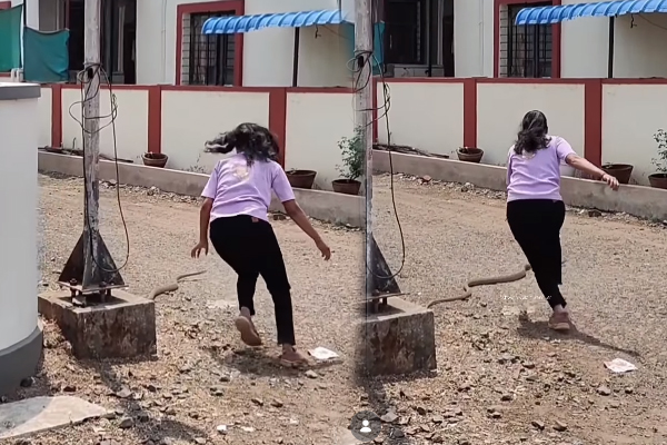 Viral Video: மின்னல் வேகத்தில் சென்ற பாம்பு... புல்லரிக்க வைத்த இளம்பெண் | Snake Catch Youth Girl Very Quickly Viral Video: மின்னல் வேகத்தில் சென்ற பாம்பு... புல்லரிக்க வைத்த இளம்பெண் | Snake Catch Youth Girl Very Quickly