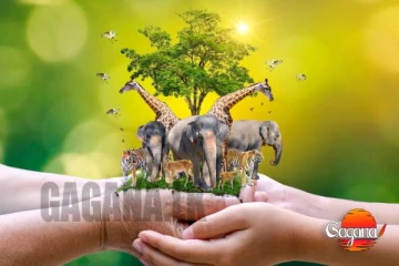 අද ලෝක වනජීවි දිනයයි