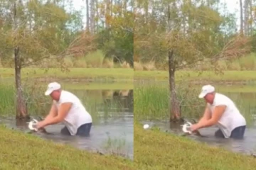 முதலையிடம் சிக்கிய நாய்க்குட்டி - உயிரை கொடுத்து காப்பாற்றிய மனிதர் - வைரலாகும் அதிர்ச்சி வீடியோ