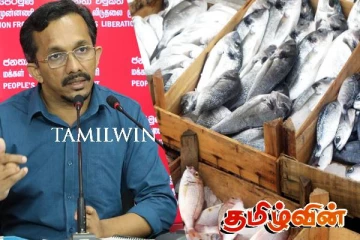 விரைவில் மீன்களையும் இறக்குமதி செய்ய நேரிடலாம்! அமைச்சர் ஹந்துன்னெத்தி