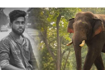 கிராமத்திற்குள் புகுந்த ஒற்றை காட்டு யானை - நொடியில் இளைஞருக்கு நடந்த சோகம்!