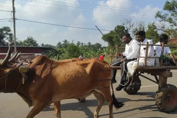 நாட்டில் ஏற்பட்டுள்ள டீசல் தட்டுப்பாடு- மாட்டு வண்டிலில் பயணம் செய்த தவிசாளர்!