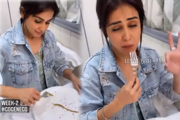 புழுவை தான் வேக வைத்து சாப்பிடுகிறீர்களோ? பிரபல நடிகையை அசிங்கப்படுத்திய ரசிகர்கள் | Genelias Diet Video Leak In Tamil