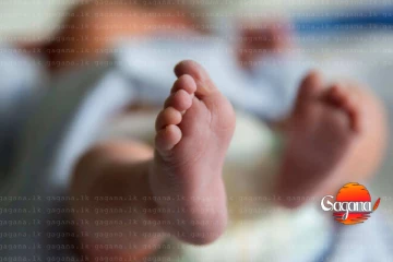 දෙවියනේ නිදි යහනේදී පියාට යටවී මාස 3ක කිරි කැටියා මරුට