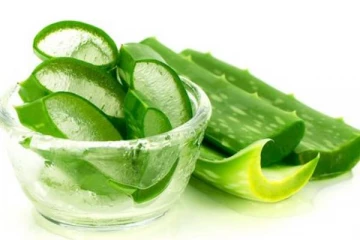 காற்றாழையை இப்படி பயன்படுத்தி பாருங்க:  உடல் எடை சிக்கிரம் குறையும்!