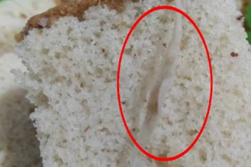 கிளிநொச்சியில் கொள்வனவு செய்யப்பட்ட கோழி இறகு கேக்...!