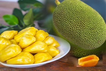 இலங்கையின் தலையெழுத்தை மாற்றப்போகும் பலாப்பழம்!