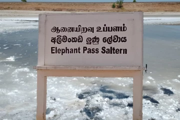கொஞ்சம் கொஞ்சமாக தமிழர் கைகளை விட்டுச்செல்லும் ஆனையிறவு உப்பளம்