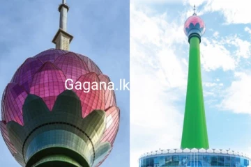 නෙළුම් කුළුණට ගිය තරුණියක් සහ තරුණයෙක් මියයයි..