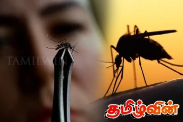 இலங்கையில் பெரும் ஆபத்தாக மாறும் நோய் - சுகாதார பிரிவு விடுத்துள்ள எச்சரிக்கை